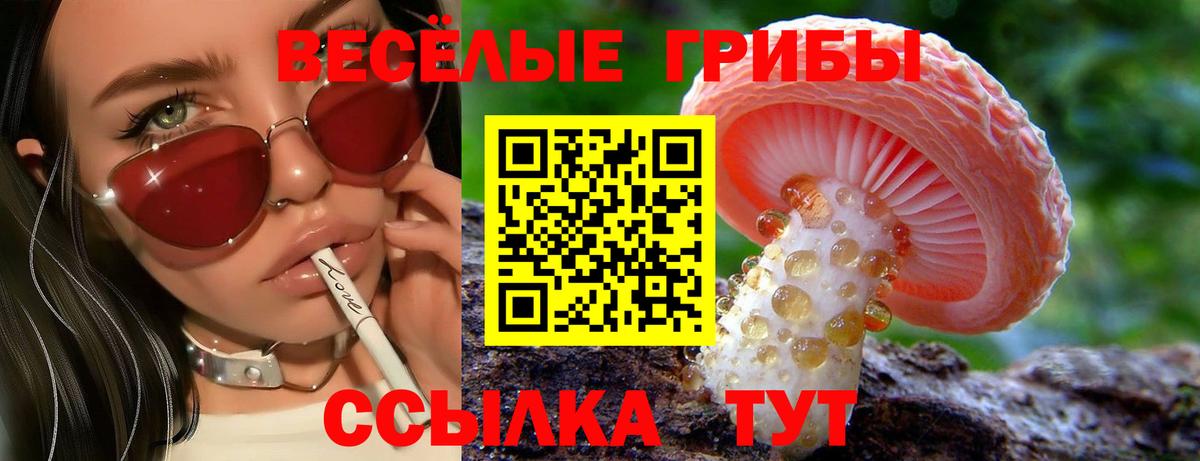 Псилоцибиновые грибы Magic Shrooms  Вход с VPN  Серов 