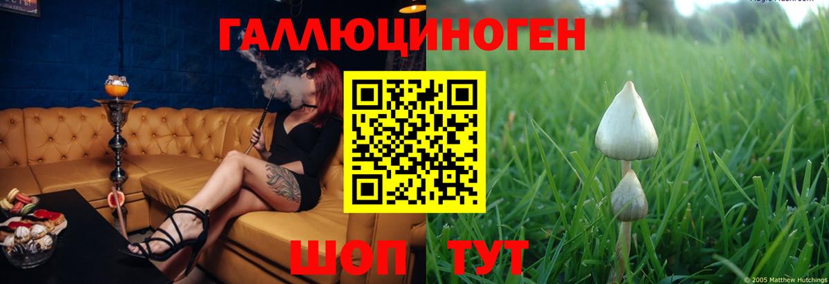 Галлюциногенные грибы Cubensis Серов